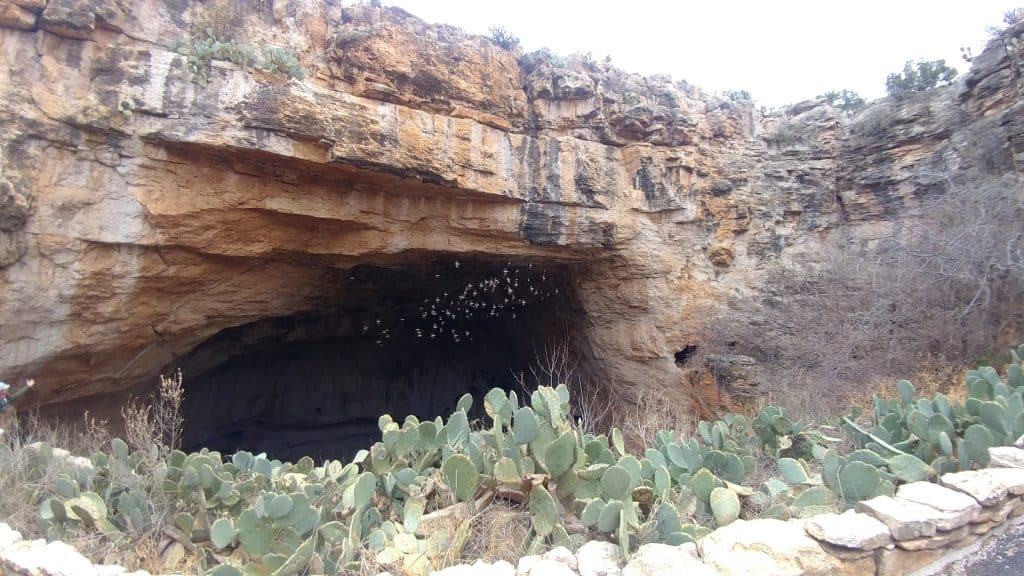 Carlsbad Caverns National Park Carlsbad New Mexico
