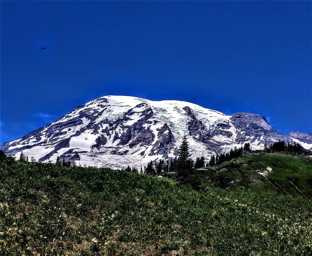Mount Rainier from the Paradise Area