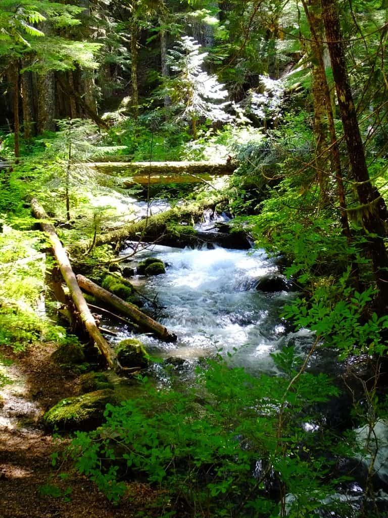 Creek Near Mount Hood, Oregon