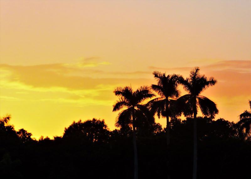 Another nice sunset. This picture was taken during our hunting crocs trip in Everglades National Park.