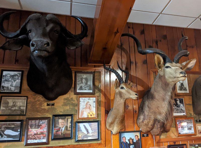 The one day we ventured from our hideout at Ogallala State park we went out to dinner and found that the restaurant was a hunting lodge for the owner. In this picture, you don't see the elephant in the room. In ways it is sad.