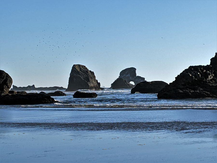 Rocks at Ecola Point include a natural bridge in the distance. All the specks in the sky are birds.