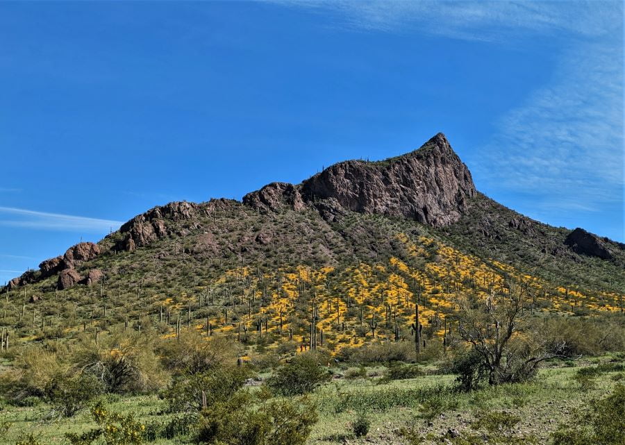 Picahco Peak has a very distinctive shape that can be seen for at least thirty miles.