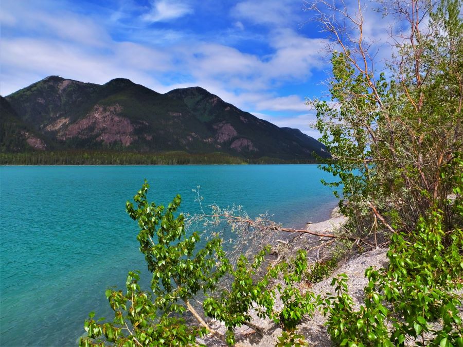 Mid day view of Muncho Lake from our campground.