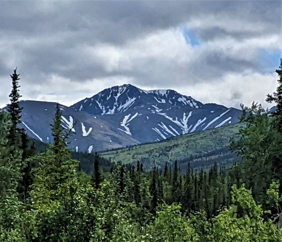 This was the first (good) picture of a big mountain that we took while in Denali National Park.