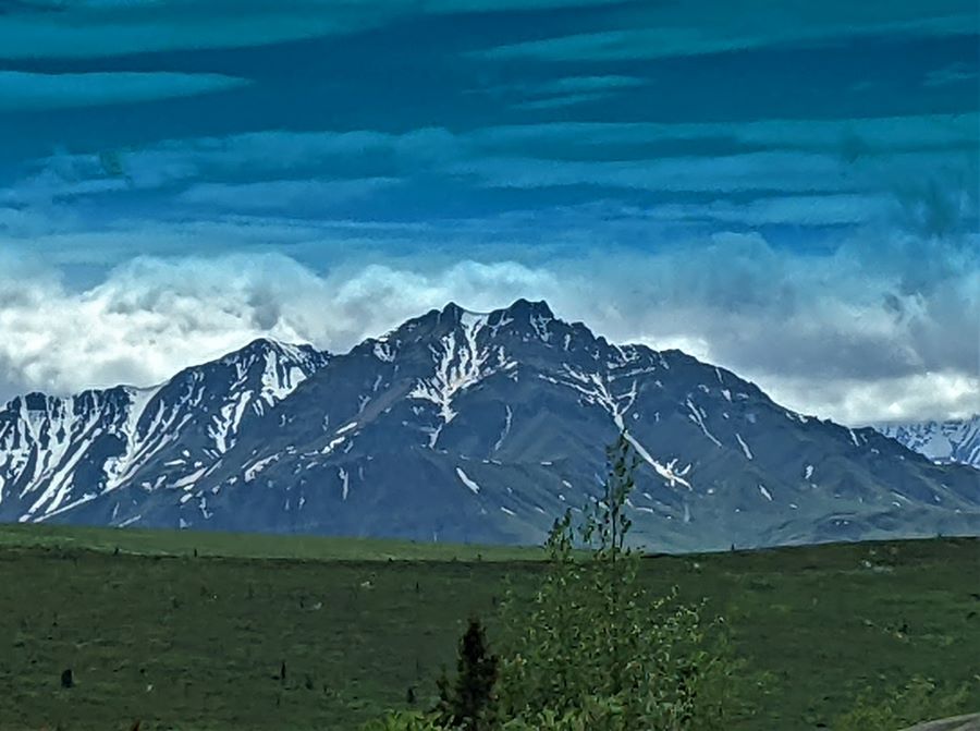 On June 23 we took the park shuttle bus tour 43 miles into Denali Nation Park. So far even though we could have seen the Denali it was in the clouds for the last four days.