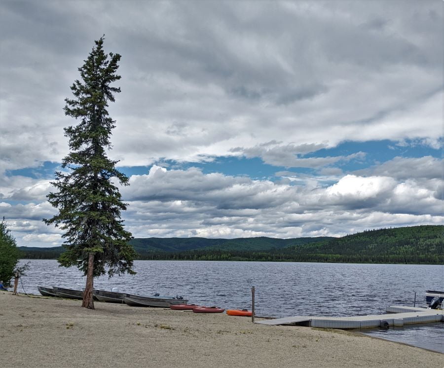 Birch Lake is very large, large enough for a moose and maybe even a bear or two.