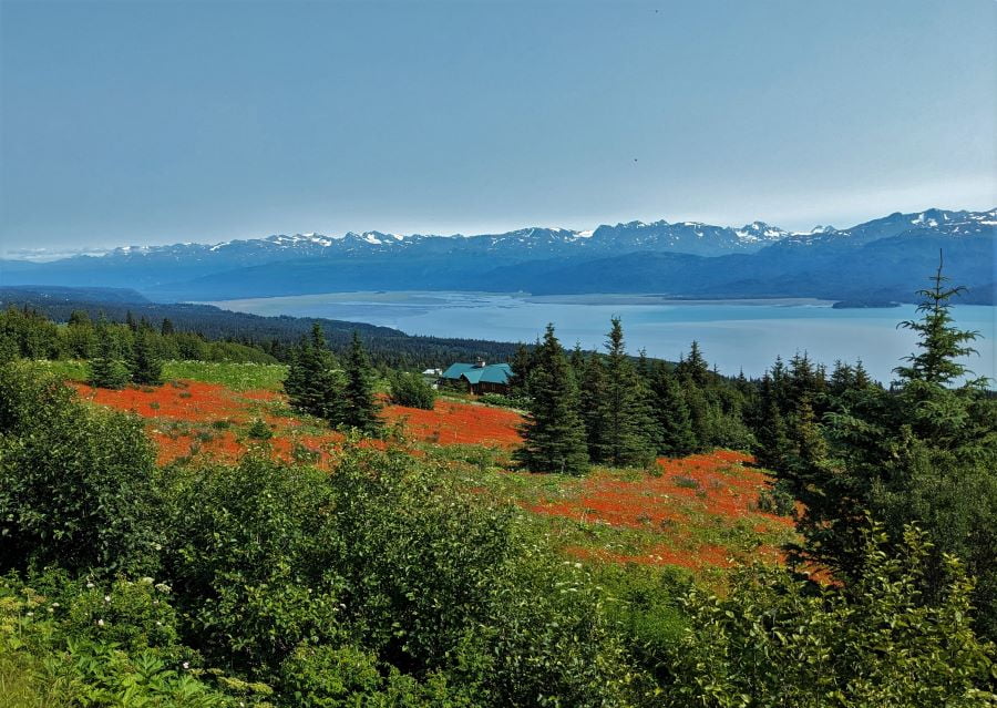View of Kachemak Bay from East End Road to the east of Homer. Across the bay is the Harding Icefield and Kenai Fjords National Park.