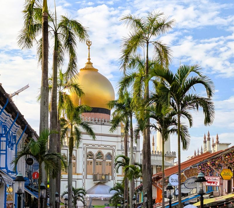 The Mosque in the Muslim sector of Singapore is very pretty.