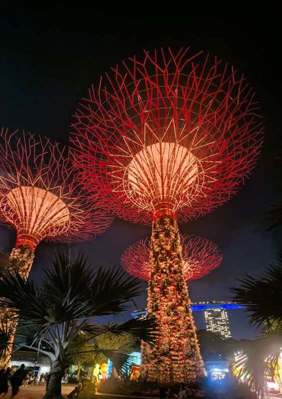 These metal trees are at Singapore's Gardens by the Bay. If you are there at the right time of the evening then the light changes on these "trees".