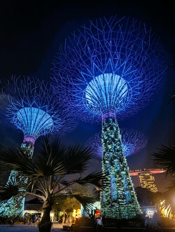 These metal trees are at Singapore's Gardens by the Bay. If you are there at the right time of the evening then the light changes on these "trees".