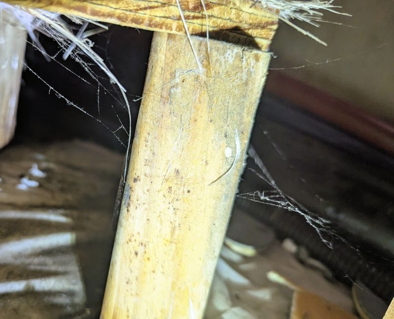 This photo is not of the 2x4 in the center, but rather the red and blue pipes in the background. They run along the exterior wall of the RV.