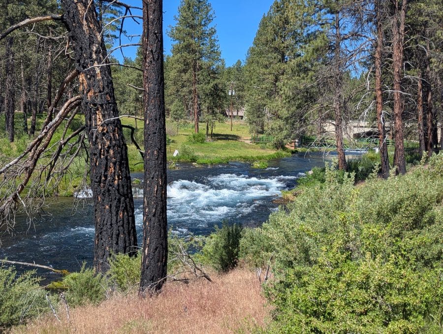 Crossing eastern Oregon in 2026 before the summer heat. 8 Spring Creek near the location it joins the Williamson River at Collier Memorial State Park.