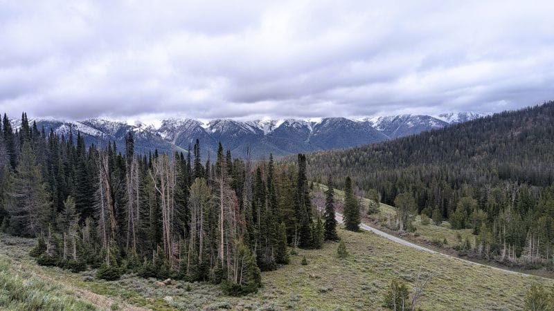 Winter started at the end of June. 2 Winter started at the end of June.