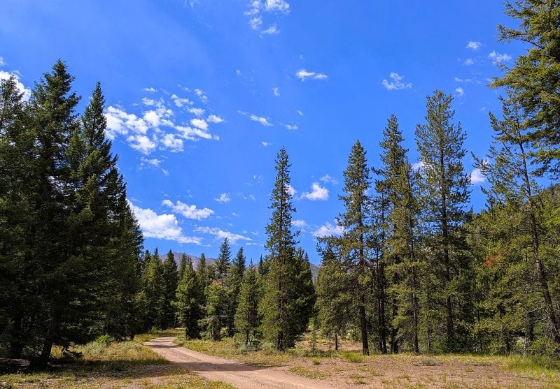The Forest Service Road went right past our boondocking spot. We got lucky with the wind direction and didn't have much dust from the road. The previous weeks worth of rain helped as well.