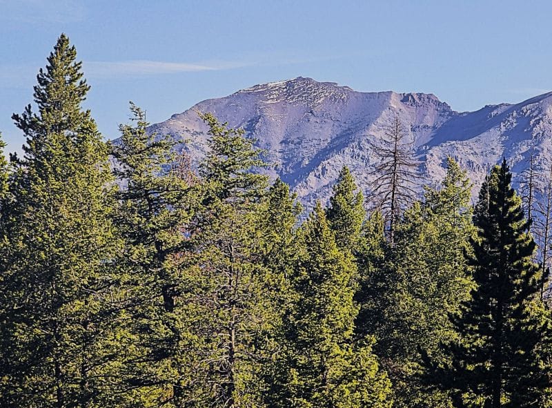As the week progressed the snow quickly melted from the previous storm. I was kind of sorry to see how fast it melted. This peak is between Easley Peak and Silver Peak.