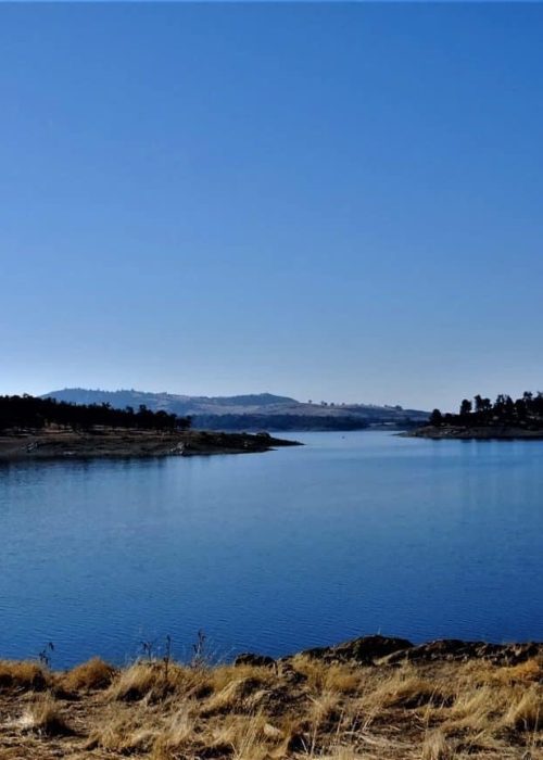 New Hogan Lake is in the Calaveras county. Our story is about traveling from Calistoga to Calaveras County